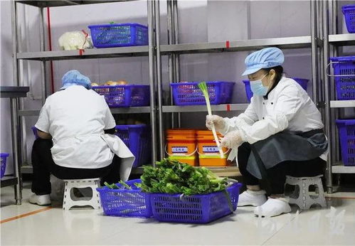 固安“互聯網+明廚亮灶” 以網絡技術服務為校園食品安全管理提質增效